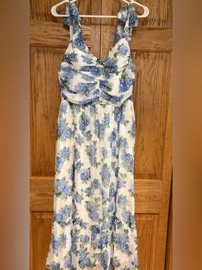BCX Dress Spring Blue White Dress with Blue Rose Print NWT size XL